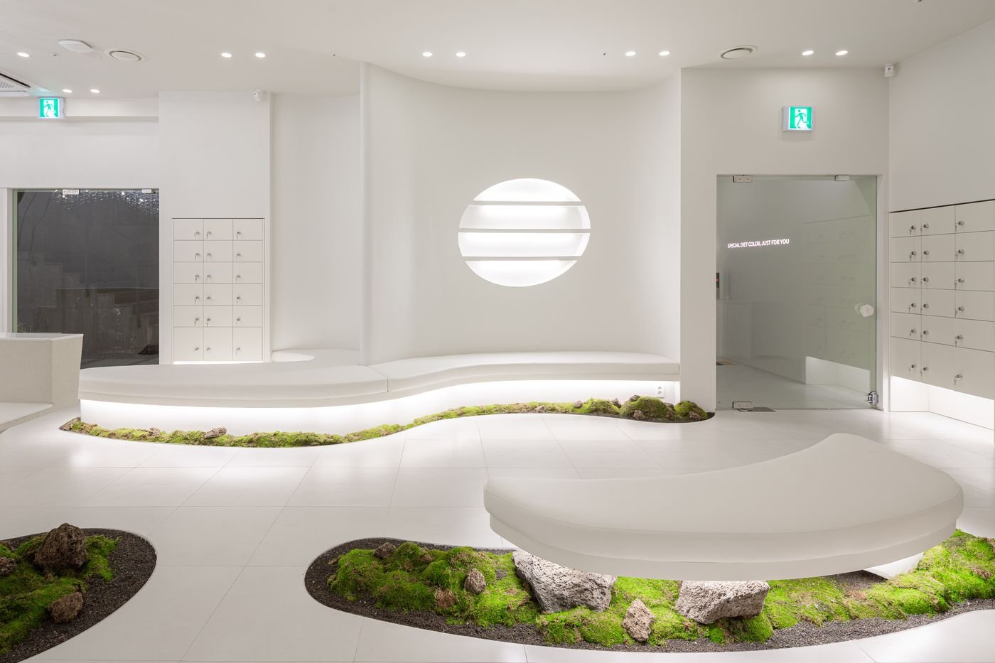The sculptural white reception hall at Vyneherb Clinic